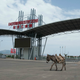 Eastern Industry Zone, a showcase Chinese project in Addis Ababa